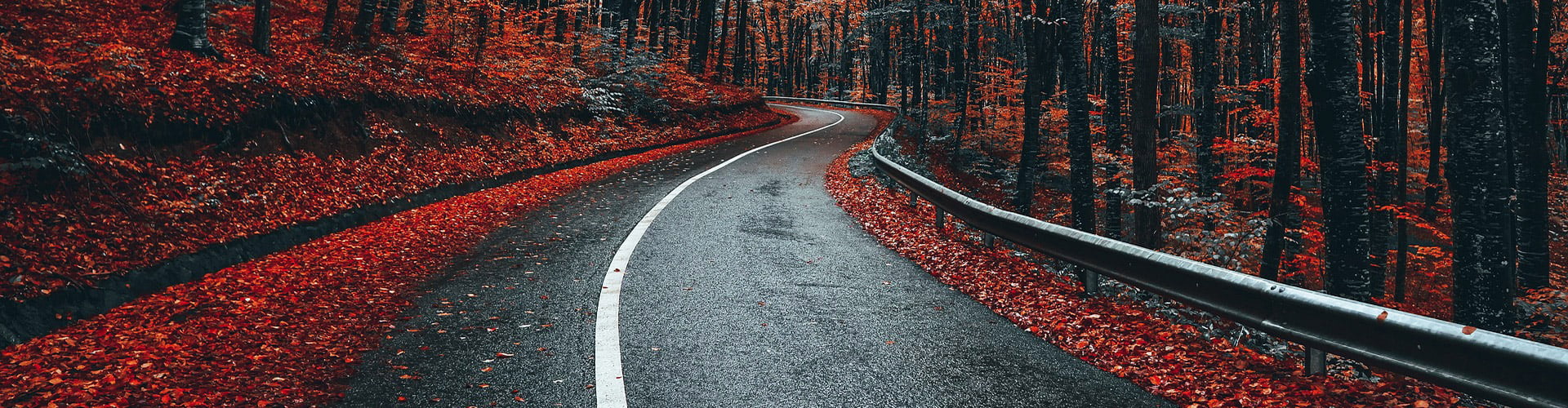 All Season Hero Image