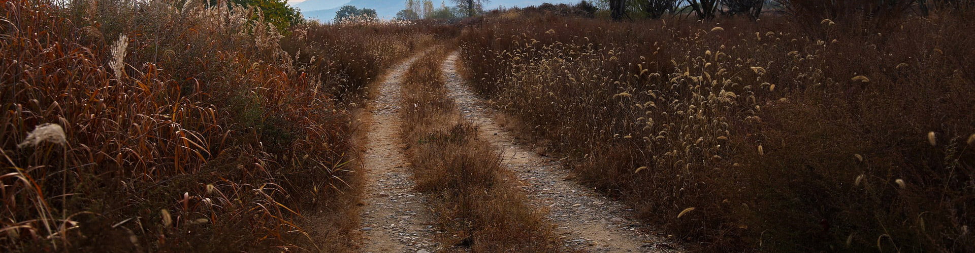 All-Terrain Hero Image