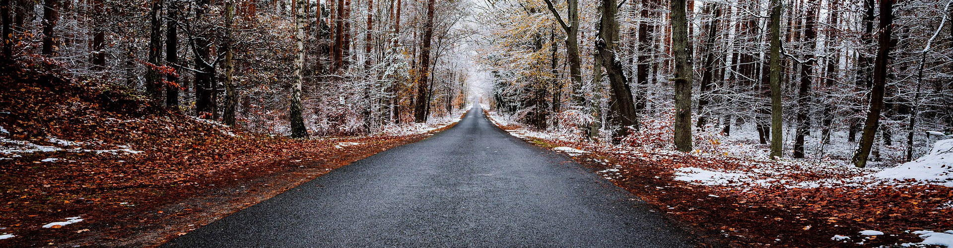 All-Weather Hero Image